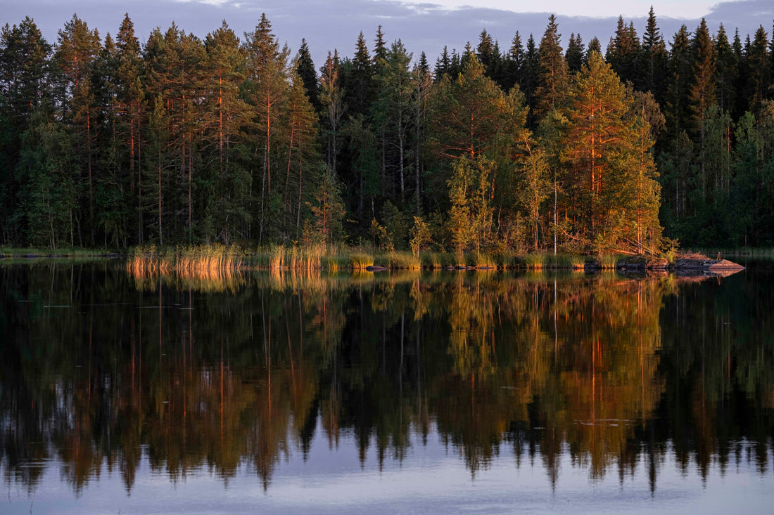 Eye acquires expat memoir of life in ‘the world’s happiest country’