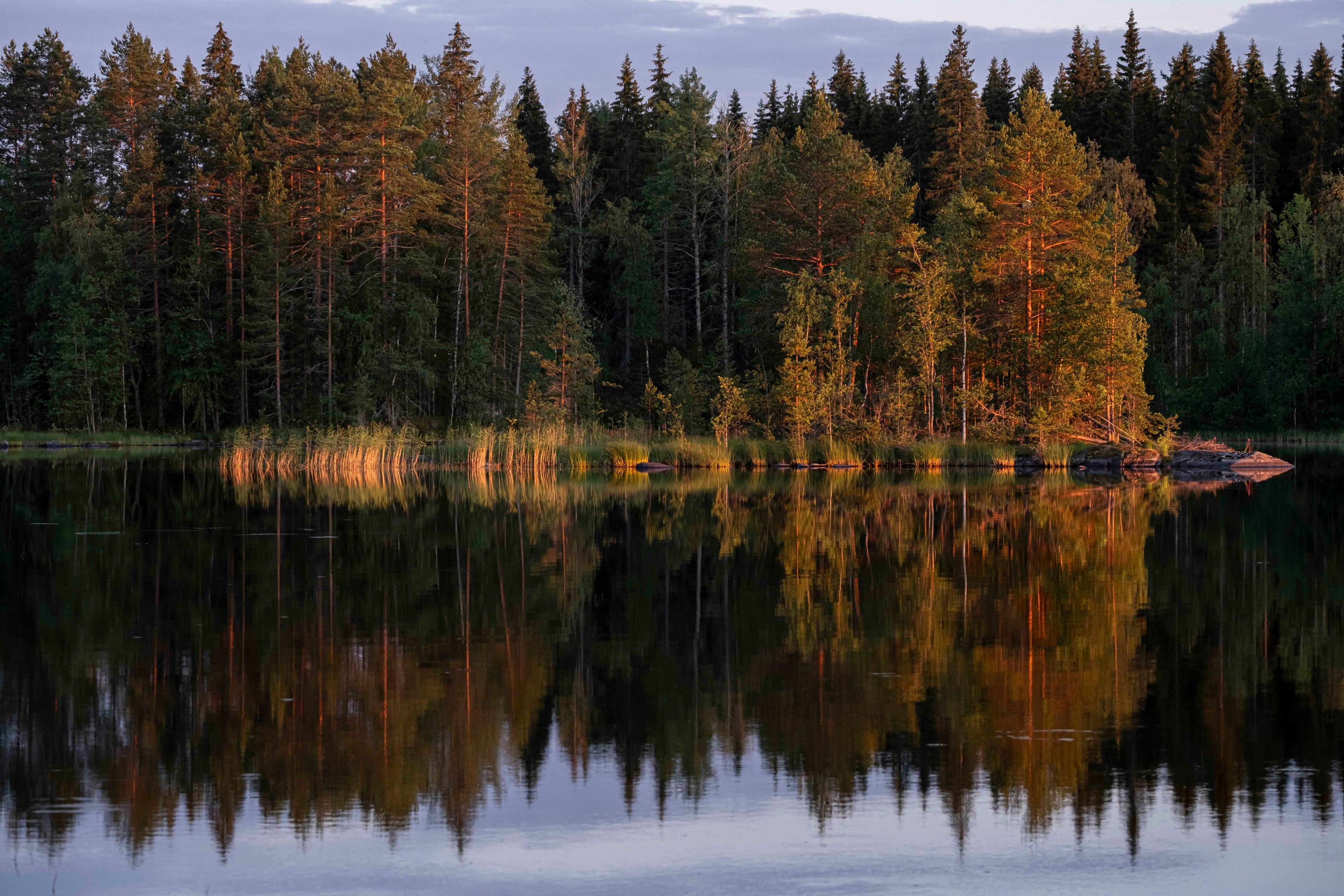 Eye acquires expat memoir of life in ‘the world’s happiest country’