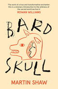 Cover of Bardskull