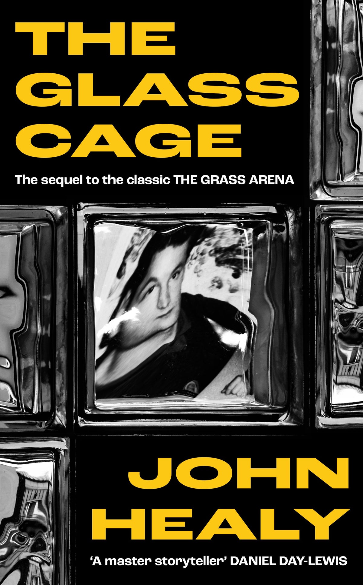 Cover of The Glass Cage