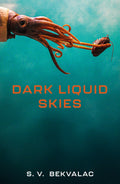 Dark Liquid Skies