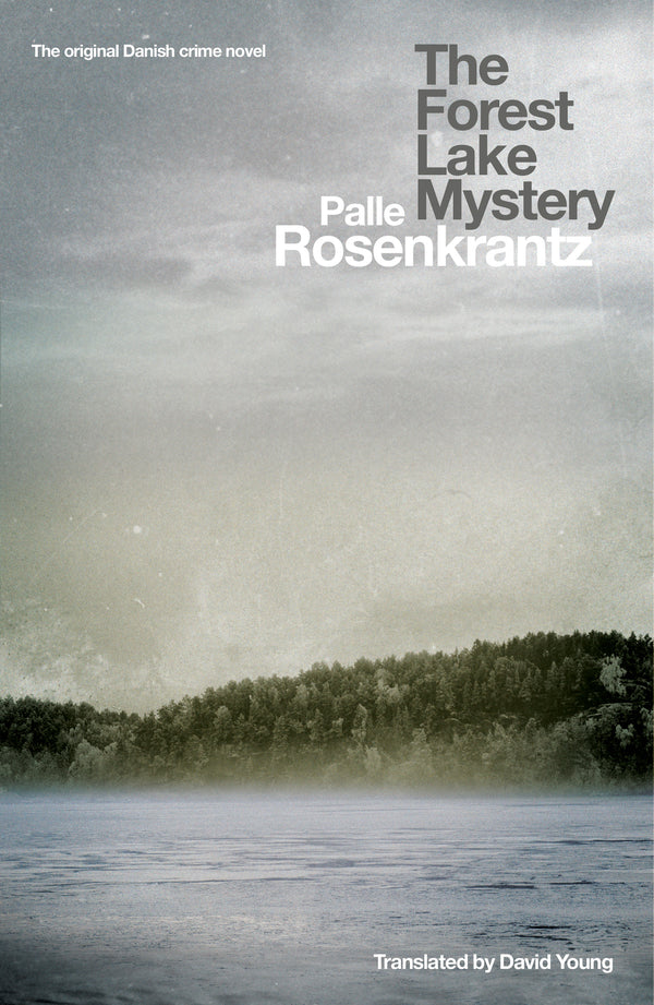 The Forest Lake Mystery cover