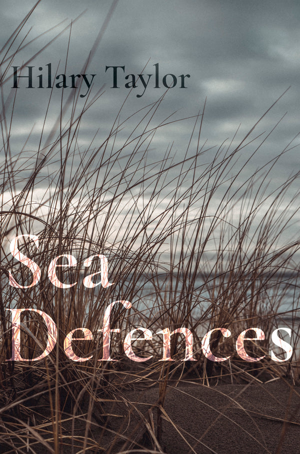 Sea Defences cover