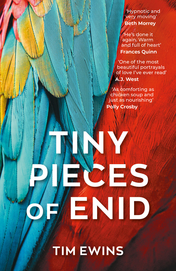 Tiny Pieces of Enid cover